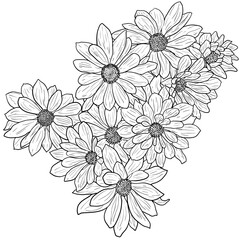 Beautiful sketch flower on white background