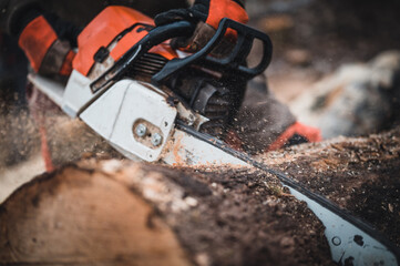 Chainsaw. Close-up of woodcutter sawing chain saw in motion, sawdust fly to sides. Chainsaw in motion. Hard wood working in forest. Sawdust fly around. Firewood processing.