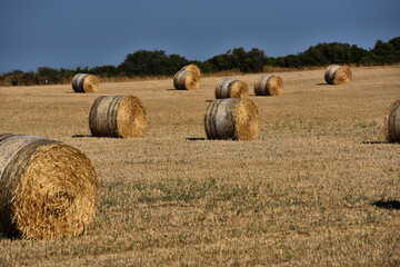 Straw bales on farmland with blue sky