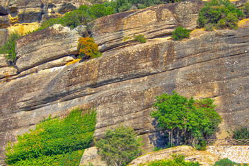 mountain rocks with trees and grass