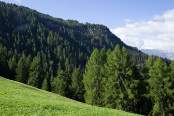 Wunderschöner Urlaub in der Schweiz.