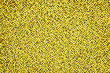 Mung beans background texture, background pattern