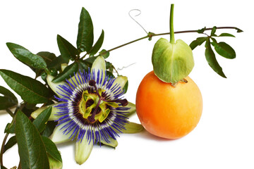 Passion flower and fruit isolated on white background