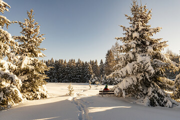 Winterlandschaft 2021