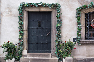 Fototapeta na wymiar Old vintage metalic door entwined with a plant