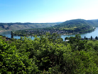 Fototapeta na wymiar Blick auf die Rheinschleife bei Boppard von der Traumschleife Elfenlay des Saar-Hunsrück-Steig