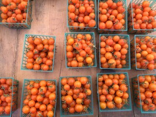 cherry tomatoes for sale at the farmers market  