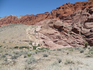 Fototapeta premium Red Rock Canyon Nevada Amerika