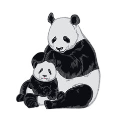 Resting baby and mather panda on white background.