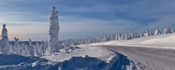 Gordijnen Poolcirkel The Road to the Enchanted Forest, Near the Arctic Circle in Alaska  This is a Forest of Evergreen Trees Completely Covered With Snow for Months at a Time  Travel Adventures, Unusual Landscapes  © Long Shadows  