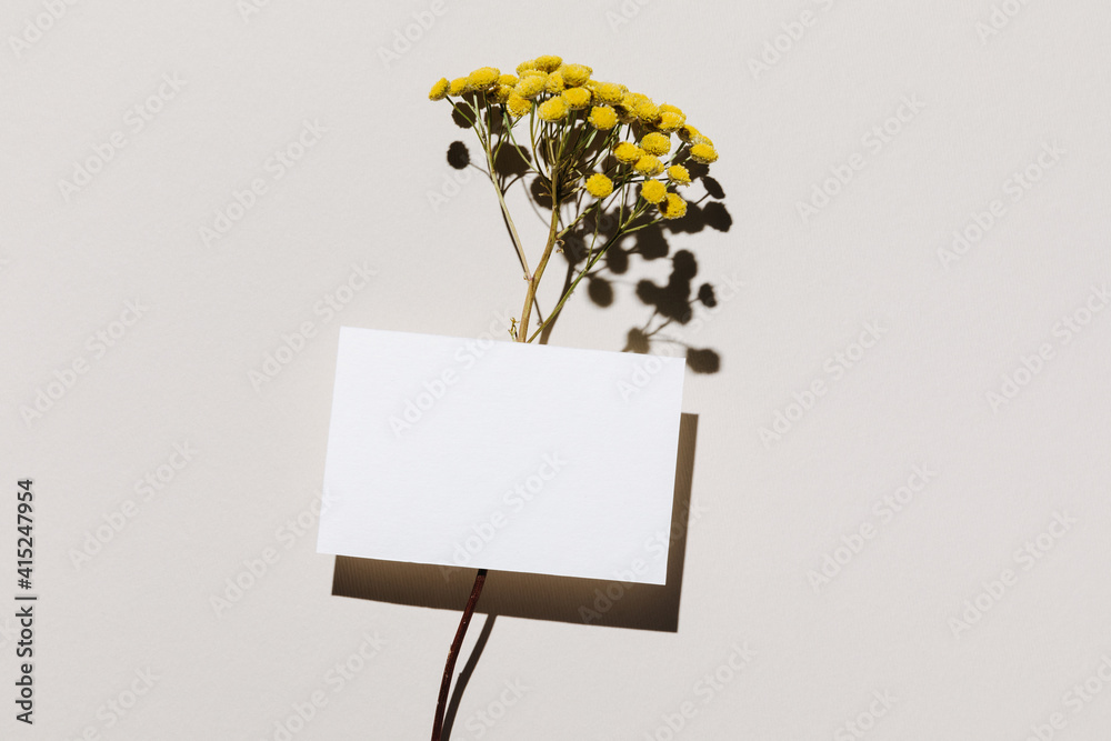 Wall mural Mockup with blank paper business card and dried yellow flower over beige pastel background with trendy shadow and sunlight. Minimal business brand template. Flat lay, top view.