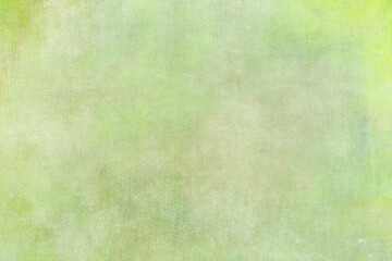 Fototapeta na wymiar Pale green canvas background