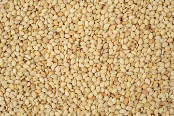sesame seeds background 