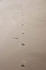 A long track of footprints in the wet beach sand