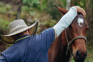 A new friendship between a trainer and his horse