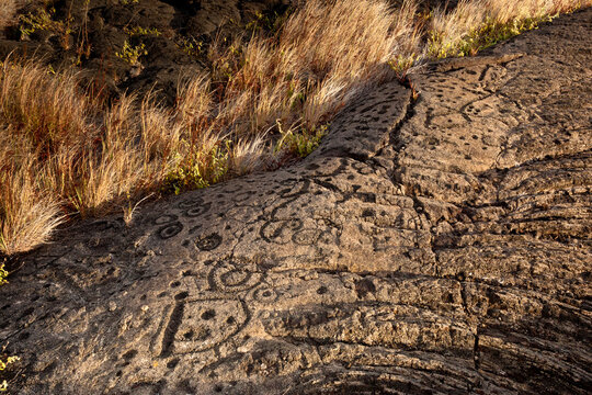 Sacred Pu'u Loa, Home To The Largest Field Of Petroglyphs In The State Of Hawai'i, USA