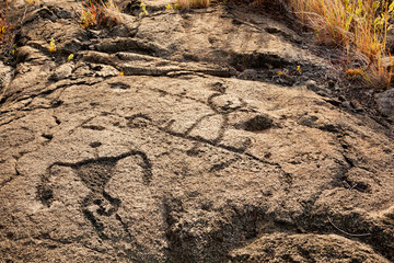 Sacred Pu'u Loa, home to the largest field of petroglyphs in the state of Hawai'i, USA