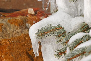 Icicles on a fir tree by a waterfall	