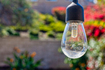 outdoor bulb with room for copy text