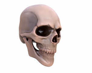 Human skull on Rich Colors a white background. The concept of death, horror. A symbol of spooky Halloween. 3d render illustration.