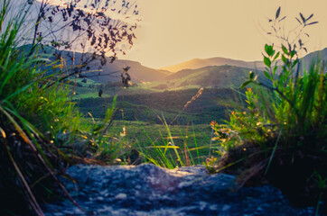 sunset over the river