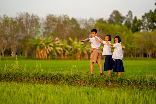 Children of student and wearing uniform playing in rice field on morning of countryside