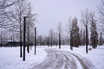 winter park of the city of Krasnodar                                  