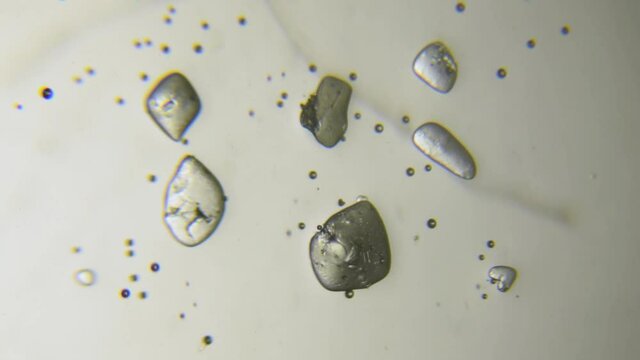 Dissolving salt crystals on water microscope footage closeup timelapse
