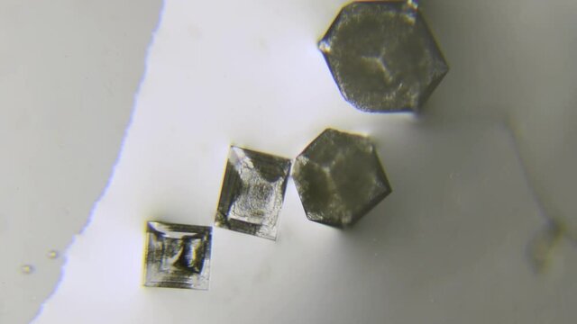 Salt crystals microscopic image being formed from water evaporation timelapse