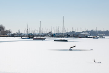 A scene of White Rock Lake in Dallas Texas with sailboats in view after a hard freeze and snow storm in February 2021