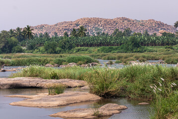 Anegundi, Karnataka, India - November 9, 2013: Navabrindavana island and temple. Tungabhadra river scenery with plenty of green trees and weed around pools of water and pieced of rock.