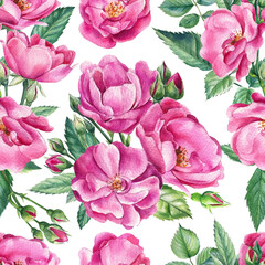 Seamless patterns of branches of roses, buds and leaves on an isolated background. Watercolor flowers