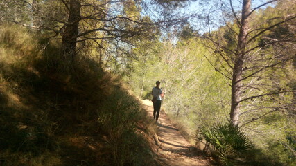 Fototapeta premium Deep forest in Europe with river and lake