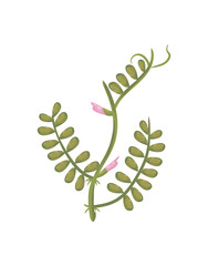 green leaves with flowers vector design