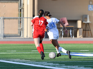 Young athletic girl making an exciting play during a soccer game © Joe