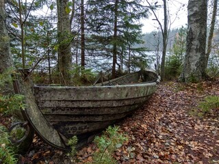 Deep forest in Europe with river and lake