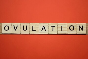 text the word ovulation from gray wooden small letters with black font on an red table
