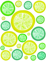 Digital illustration of colorful citrus slices