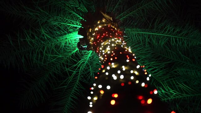 Tropical Christmas - Palm Tree Decorated as Giant Candy Cane with Colorful String Lights (Slow Motion)