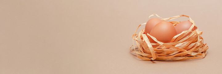 chicken eggs in the nest, isolate on a homogeneous background, easter concept. Copy space