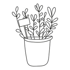 garden or houseplant in doodle style