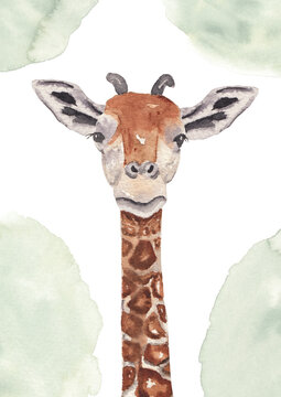 Watercolor giraffe illustration. Cute little giraffe. Hand drawn animal portrait  . Nursery decor, baby shower, kids birthday invitation, printable poster. Tropical, Safari, jungle animal.