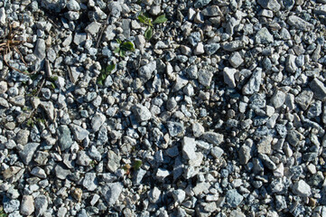 textura de piedras