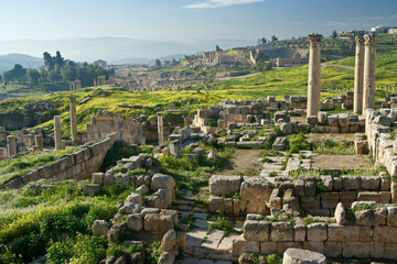 Roman ruins of Jerash, Jordan, during springtime with yellow wildflowers