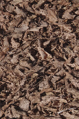 High angle full frame view of an area full of fallen dry brown leaves in winter perforated with a vast amount of small holes