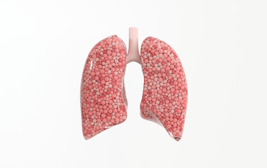 Human respiratory system anatomy concept. Healthy lungs. World Tuberculosis day, lung cancer day. 3d rendering