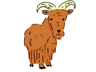 バーバリーシープ