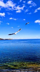 Bodensee, Konstanz 