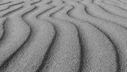Wavy curve ripple lines in dry beach sand