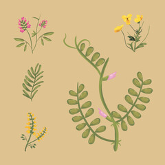 flowers with leaves icon group vector design